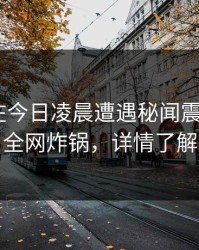 主持人在今日凌晨遭遇秘闻震惊，17c全网炸锅，详情了解