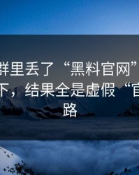 有人在群里丢了“黑料官网”，我顺手查了下，结果全是虚假“官网”套路