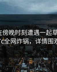 圈内人在傍晚时刻遭遇一起草愤怒，17c全网炸锅，详情围观