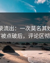 聊天记录流出：一次莫名其妙的退款的细节被点破后，评论区彻底开撕