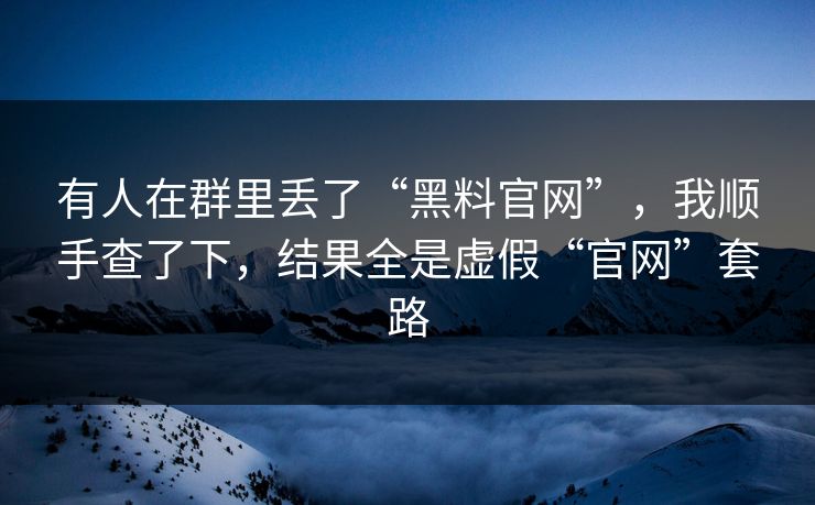 有人在群里丢了“黑料官网”,我顺手查了下,结果全是虚假“官网”套路 有人在群里丢了“黑料官网”,我顺手查了下,结果全是虚假“官网”套路