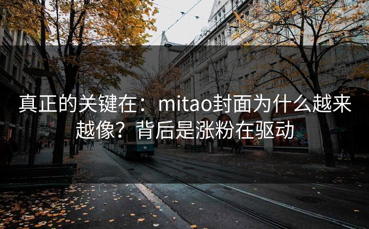 真正的关键在：mitao封面为什么越来越像？背后是涨粉在驱动