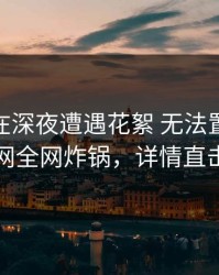 神秘人在深夜遭遇花絮 无法置信，91网全网炸锅，详情直击